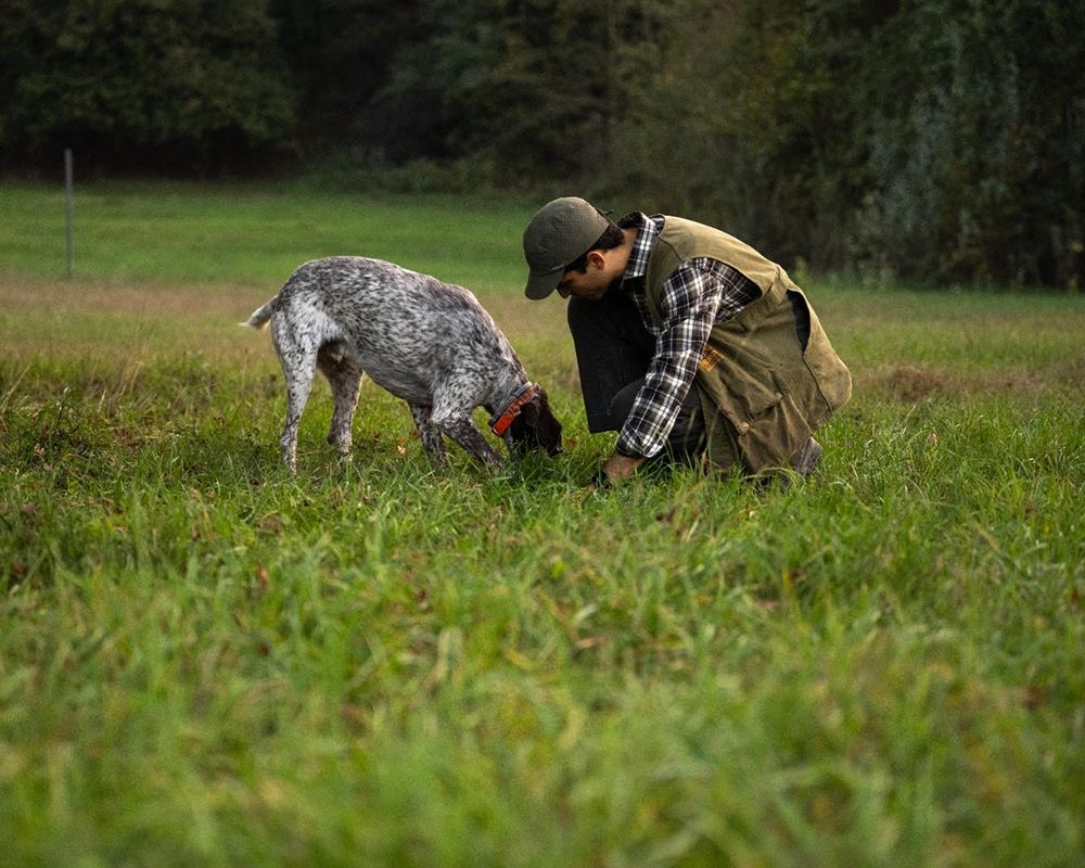 Tartufo bianco: rarità e prestigio