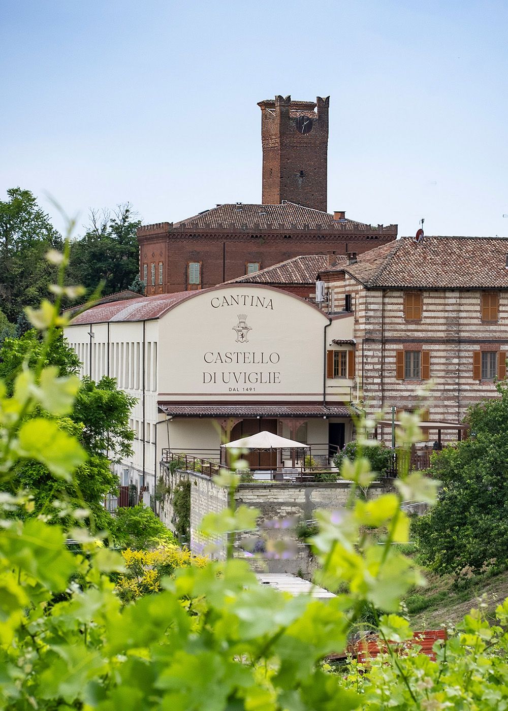 La Cantina Catello di Uviglie